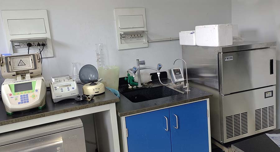 雪花制冰机.jpg 雪花制冰机.jpg